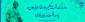 فردوسی