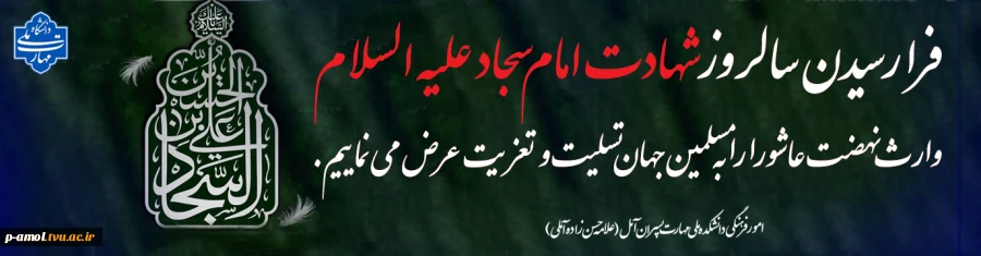 شهادت امام سجاد 2